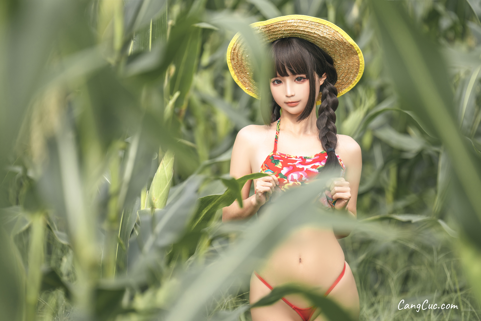 Coser@蠢沫沫 (chunmomo): The Story of Cornfield ảnh 18